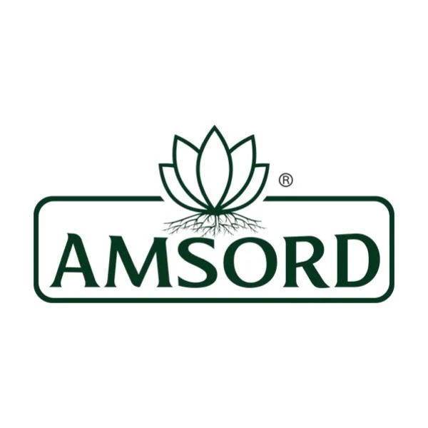 Amsord Global